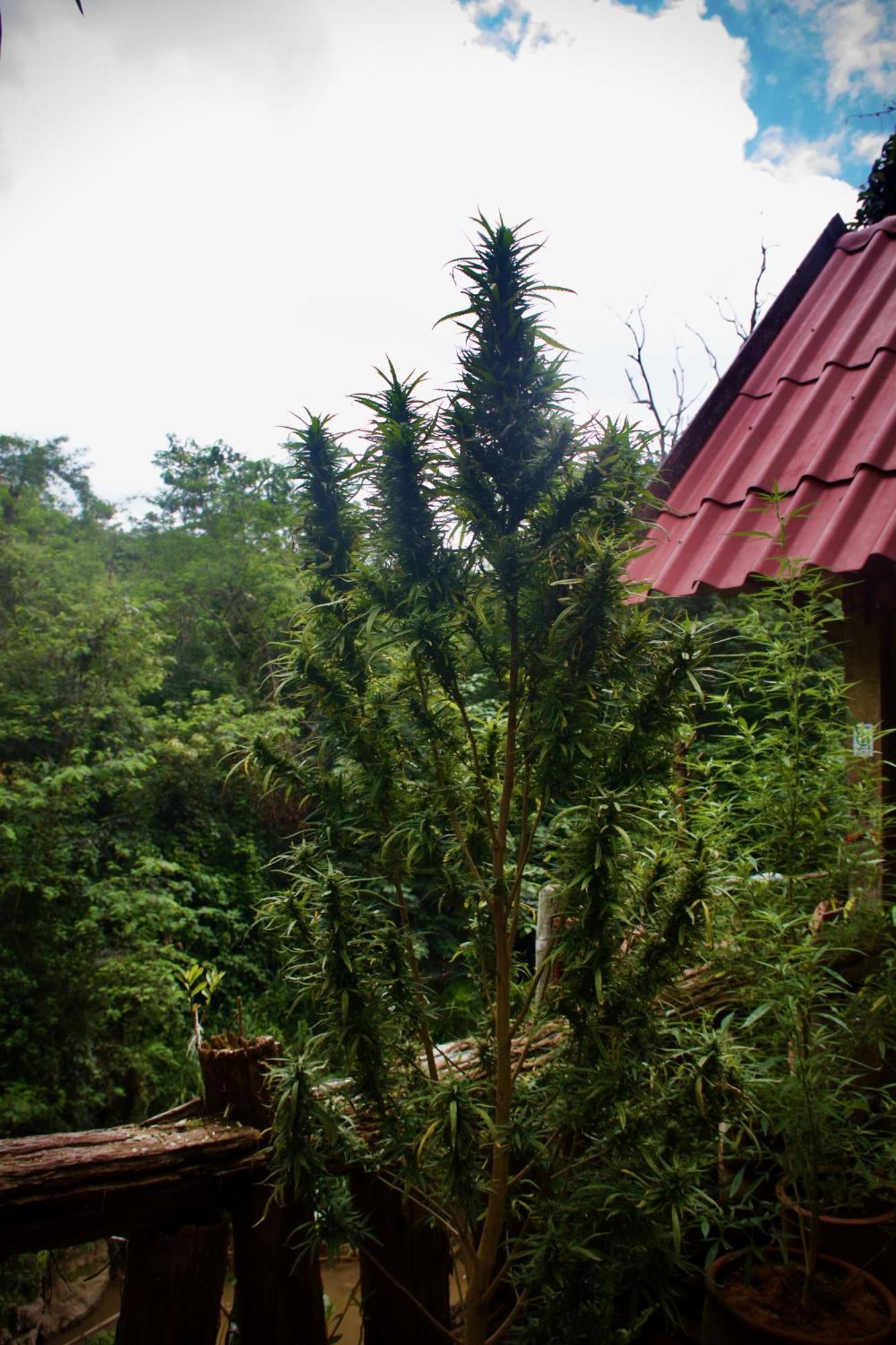 Aerie Lodge Pang Mapha Екстериор снимка