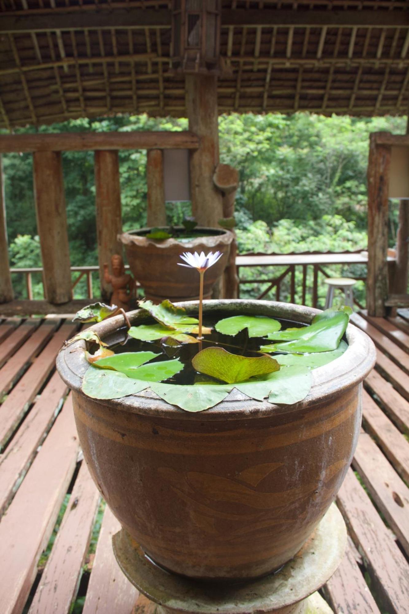 Aerie Lodge Pang Mapha Екстериор снимка